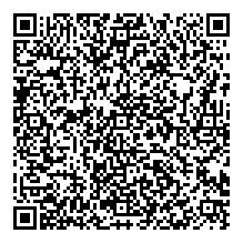 V.K translator_SEizE